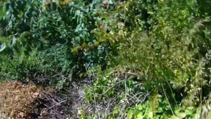 Bałkańska rajza cz. 2