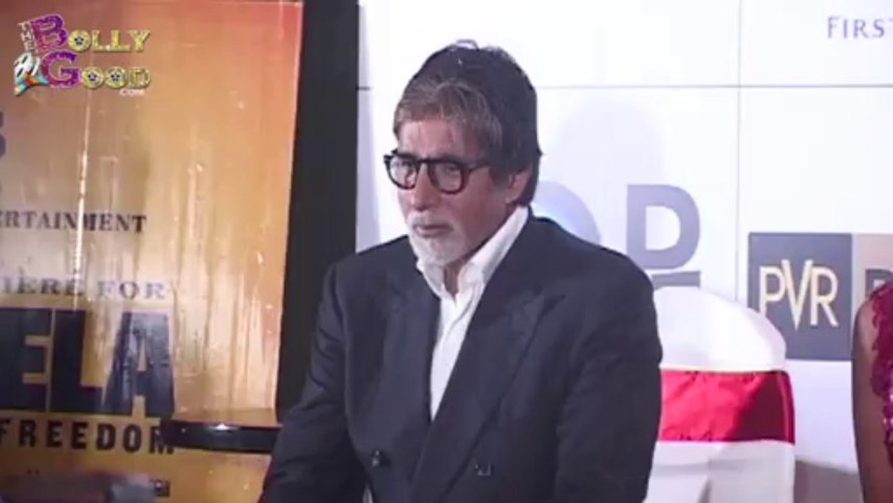 Press Conference For New Film 'Mandela - Long Walk To Freedom' With Amitabh Bachchan