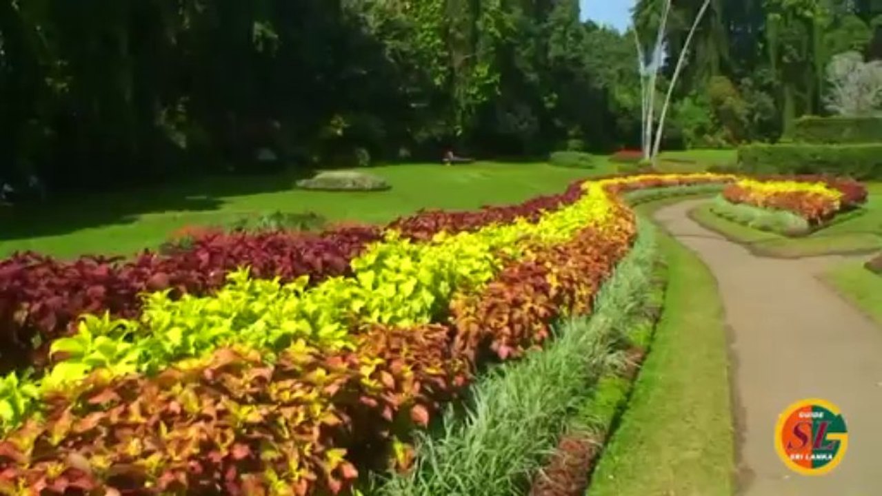 Driver guide Sri Lanka, travel to Sri Lanka, discover srilanka tourism