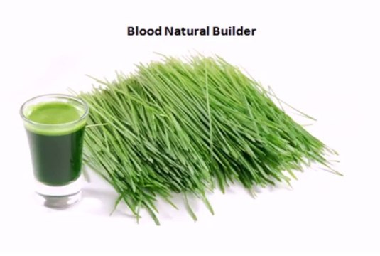 Jobelyn natural supplements by health-forever