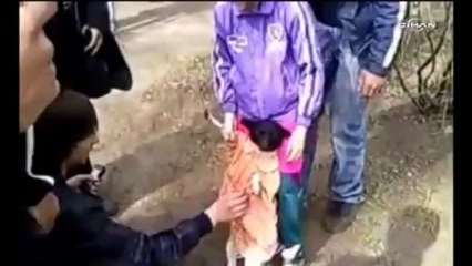 Rusya’da doğuştan “sanatçı” köpek kamerada