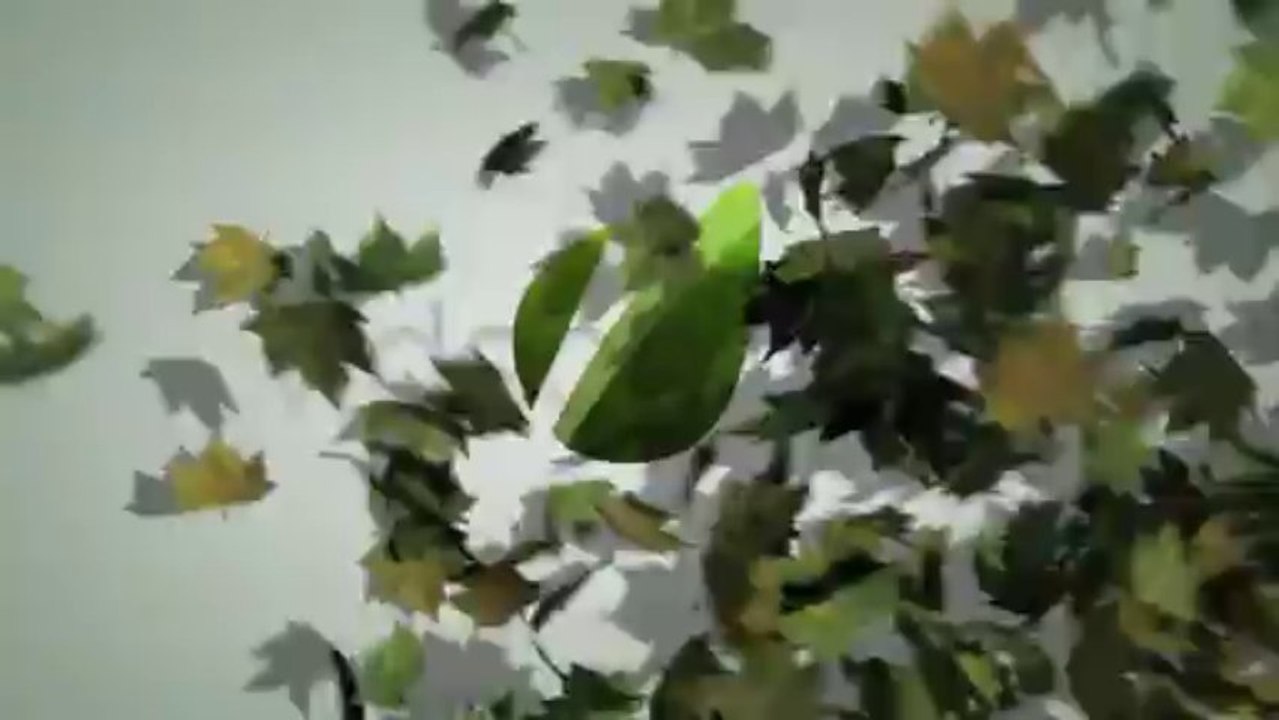 Maple Leaves Ident