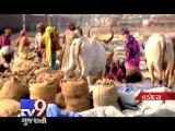 Wheat sacks of FCI get drenched in rain at railway yard, Vadodara - Tv9 Gujarati