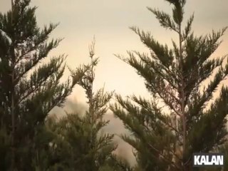 Timuçin Şahin - Bakumbaga (Mahir's Turtle)