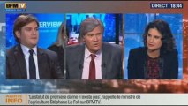 BFM Politique: L'interview de Stéphane Le Foll par Etienne Gernelle du Point - 26/01 3/6