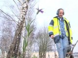 La mairie de Versailles n'utilise plus de pesticides pour l'entretien de ses espaces verts - 23/01