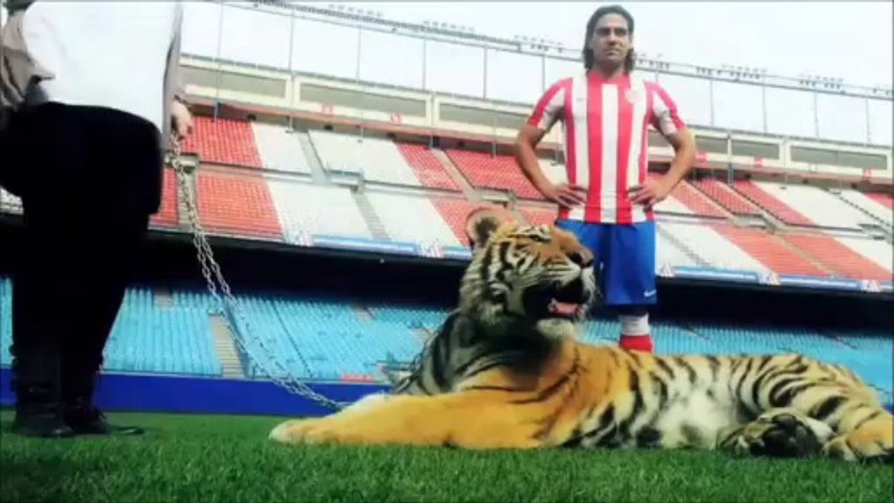 #FuerzaTigre