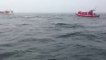 Baleine en alimentation de surface le 29 ou 30 juillet 2013 au Canada!