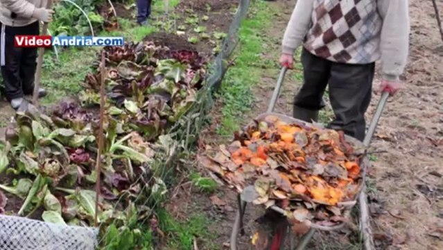 Orto sociale in città: tra sociale, autoproduzione e sostenibilità
