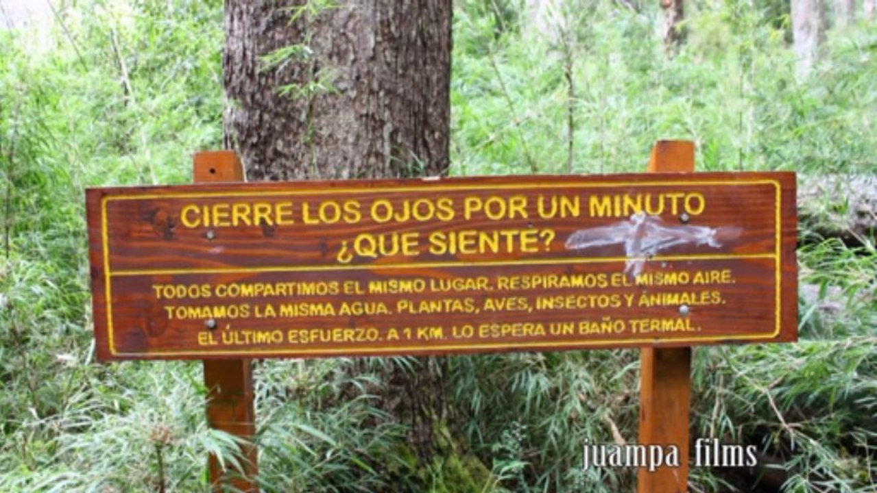 TERMAS DE QUEÑI