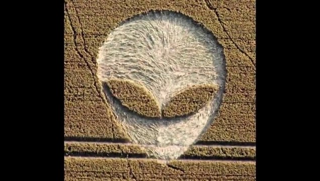 Crop Circles at Fox Hill, Wiltshire 25th July 2012 HD