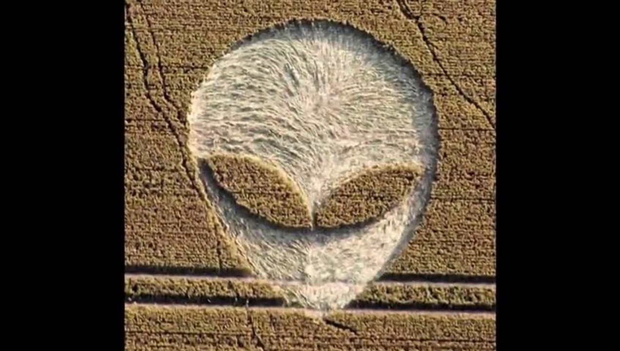 Crop Circles at Fox Hill, Wiltshire 25th July 2012  HD