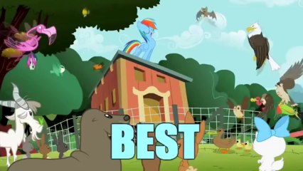 MLP - Find A Pet Song (Electrotank Remix) [PMV]