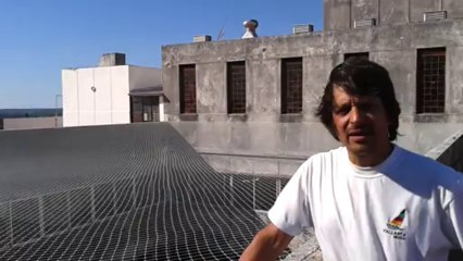 Colocacion de una malla contra palomas en el palacio de tribunales de San Isidro