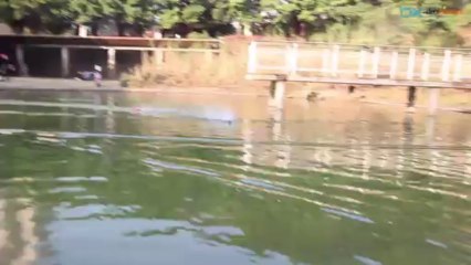 [DX Canal Vidéo]DX R/C Collection-R/C Bateau