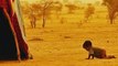 Orphans of the Sahara - Episode 3 - Exile