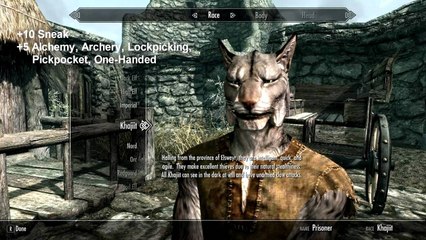 Skyrim Walkthrough: Ep. 1 Guide to Choosing a Race in Skyrim (auluftwaffles.wordpress.com)