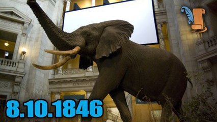 A Day In History: The Smithsonian Institution Chartered