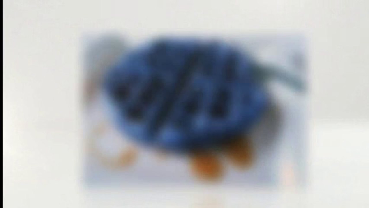 Blue Waffle Infection video Dailymotion