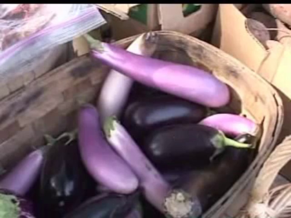 Organic Farming_ Can It Feed Us (Part 1)