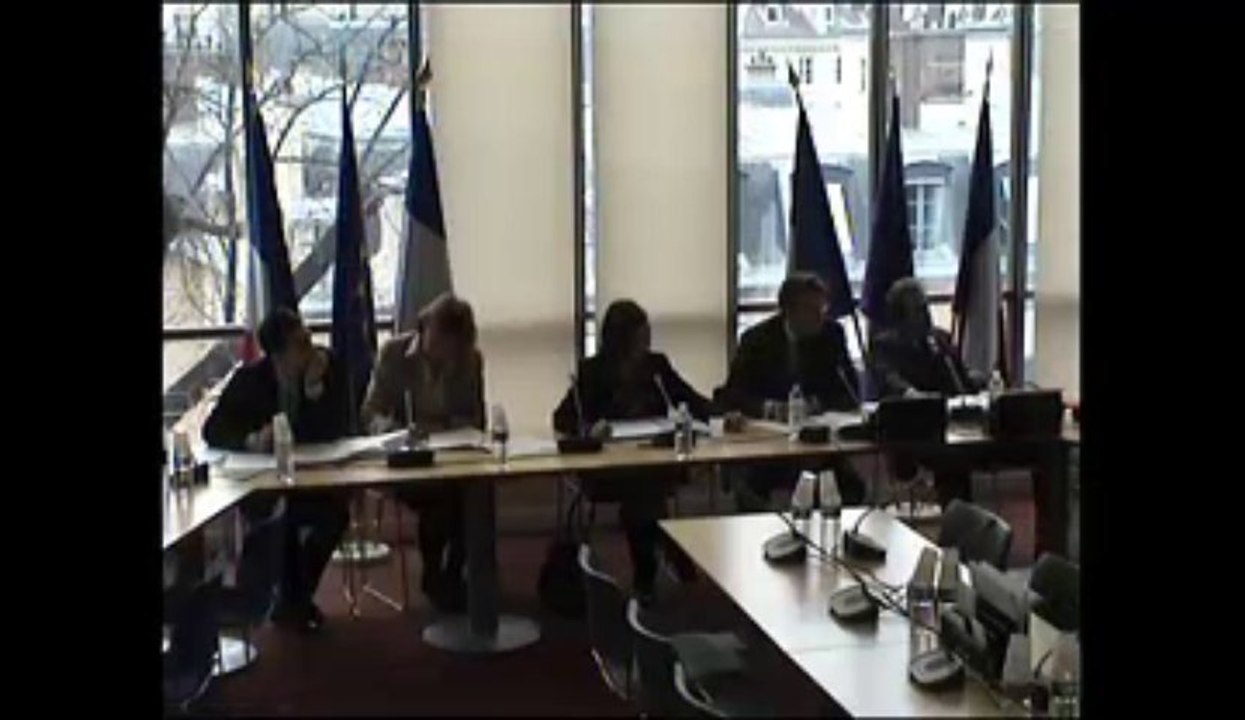 Examen de textes soumis à l'Assemblée nationale en application de l'article 88-4 de la Constitution (la surmortalité des abeilles) - Mercredi 27 Mars 2013