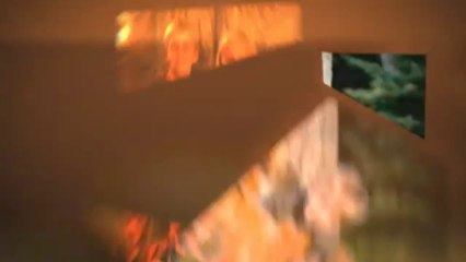 Why Dog Training Is Essential for a Happy, Well-Behaved Pet 🐶