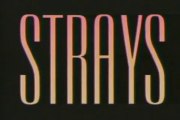 Strays 1991 Trailer.flv