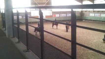 Cession à la jambe cours à la SHT 23.01.14