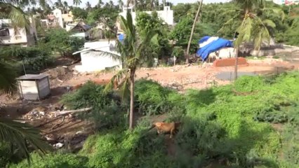 Visite de la maison à Pondichéry