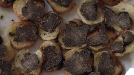 Les Ampelofolies 2014, samedi 25 et dimanche 26 janvier, à Ventenac / Montolieu / Pennautier et Moussoulens :