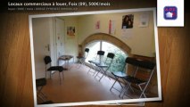 Locaux commerciaux à louer, Foix (09), 500€/mois