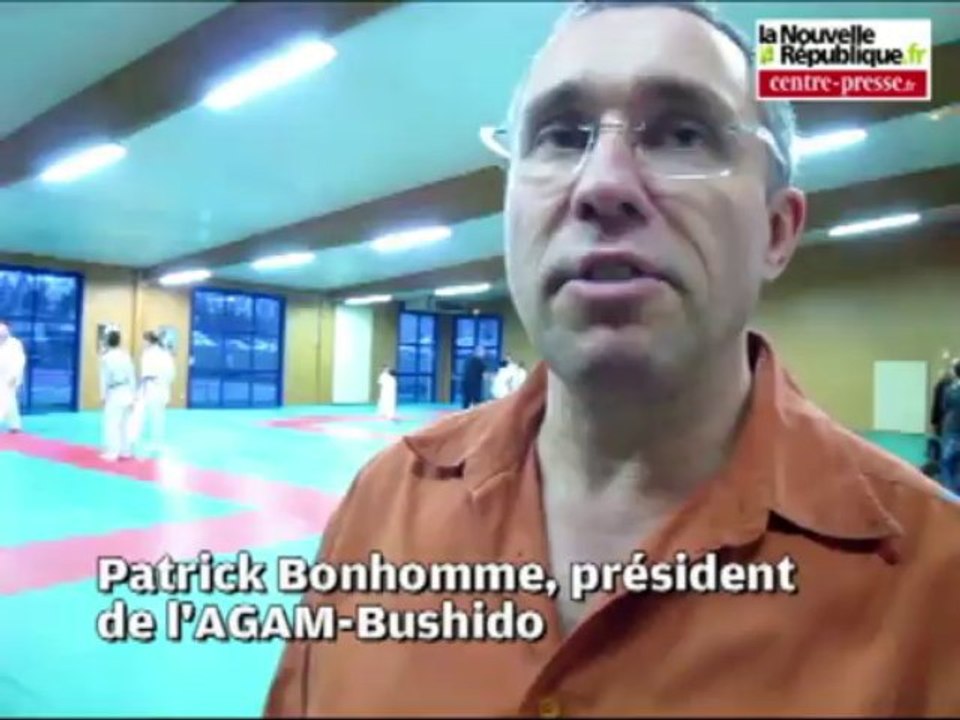 VIDEO. Châtellerault : le dojo se fait une beauté