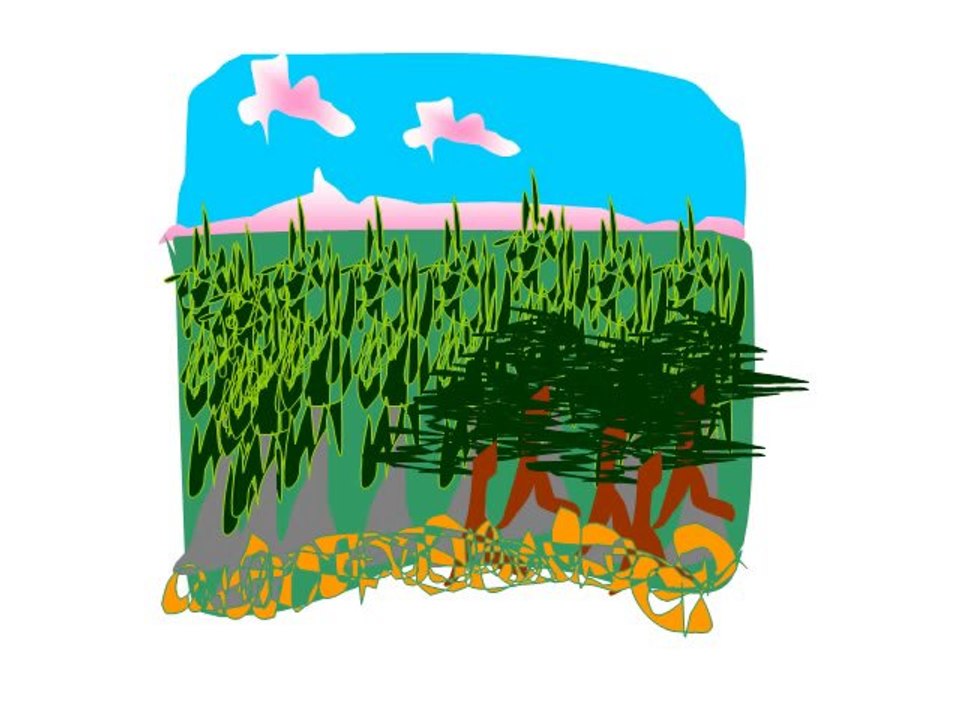 Le haïku et le temps des cerises, été.