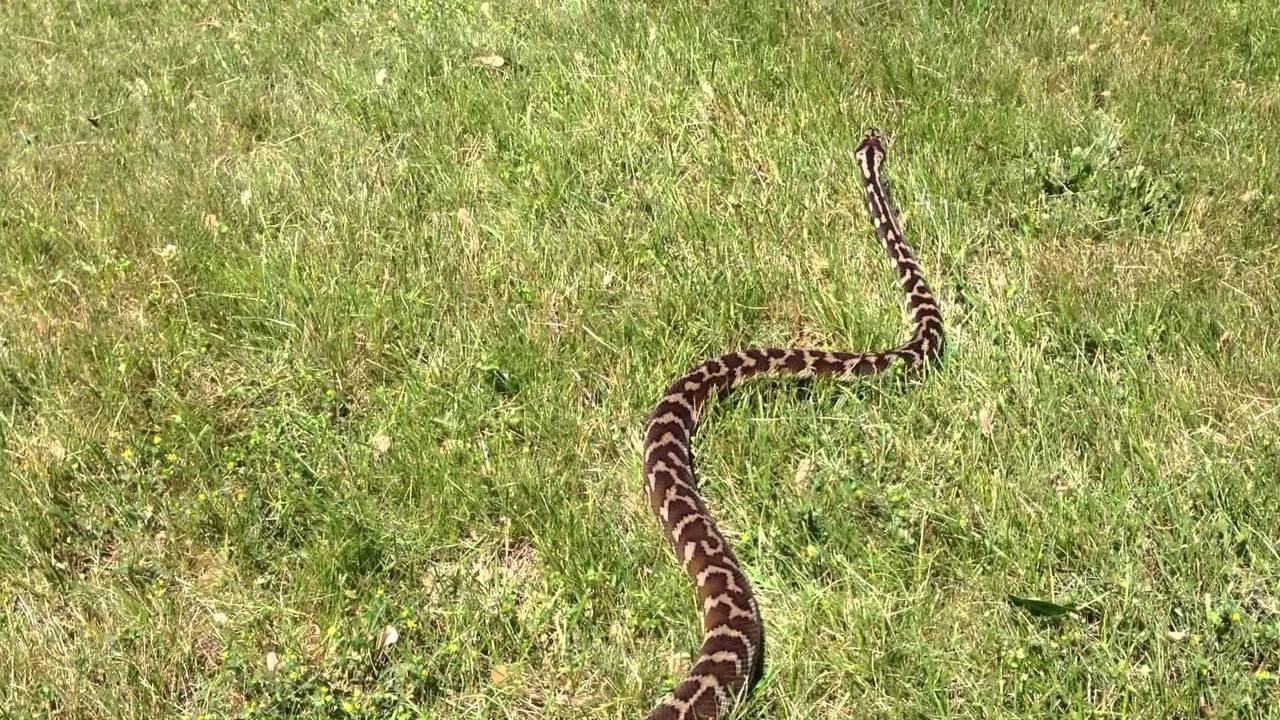 3,000 Subscribers! + YouTube Tips