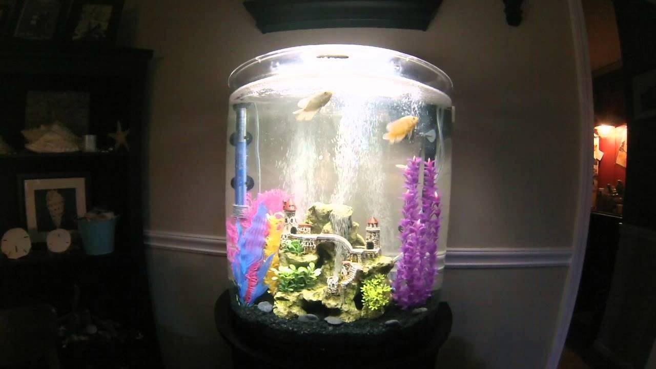 Oscar Aquarium GoPro Camera Test