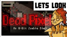 Let's Look - Dead Pixels!