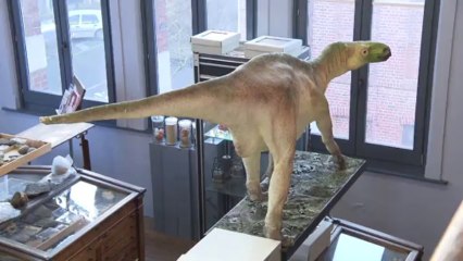 Plus de Sciences 19 "Museum de Lille"