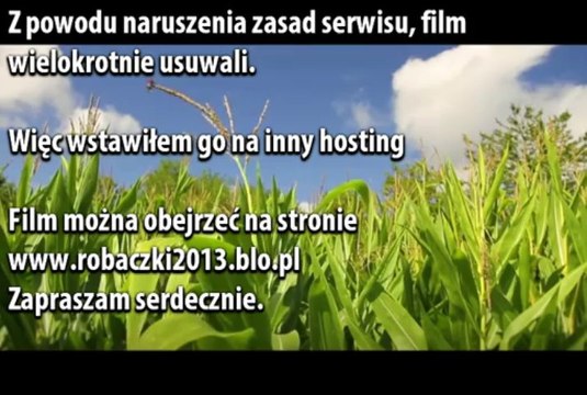 Robaczki z zaginionej krainy Hicior Bajka Online Dubbing PL