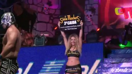 Ángel de Oro, Delta, Guerrero Maya Jr. vs Felino, Puma, Tiger