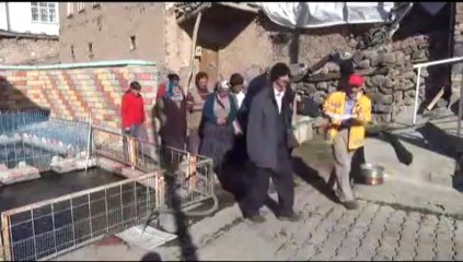 Balıklara cenaze töreni