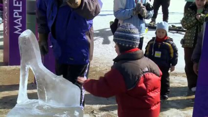 Ice Sculpture Mapleview - Festive Ice Sculptures & The Chocolate Fountian Company