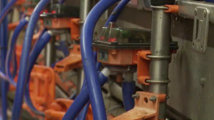 Thierry Busson - Eleveur laitier - Lizio (56)