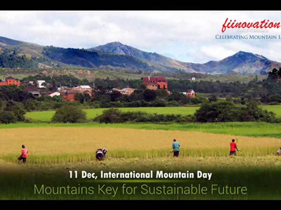 Fiinovation - Innovative Financial Advisors pvt. Ltd