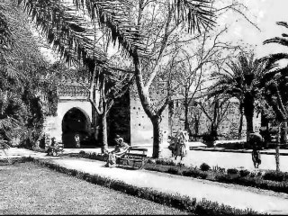 Les portes du paradis. Racontez- moi Oujda.