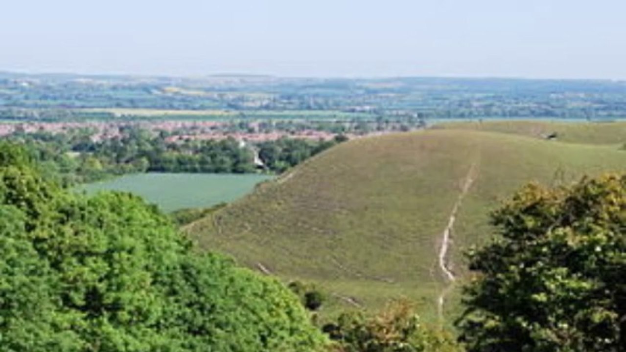 Barton Hills