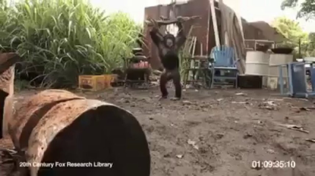 african gangster____Sad'Eyes