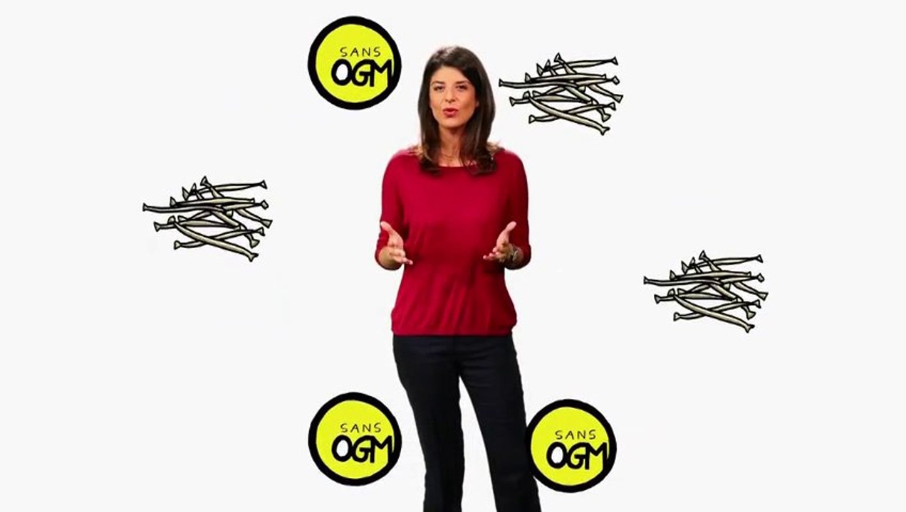 OGM : un étiquetage pour embrouiller le consommateur (Flash conso - Mce)