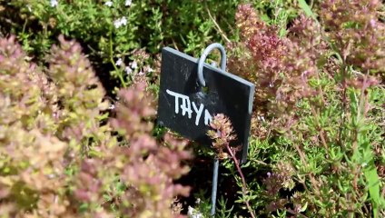 Le label Lucie  au Domaine du val