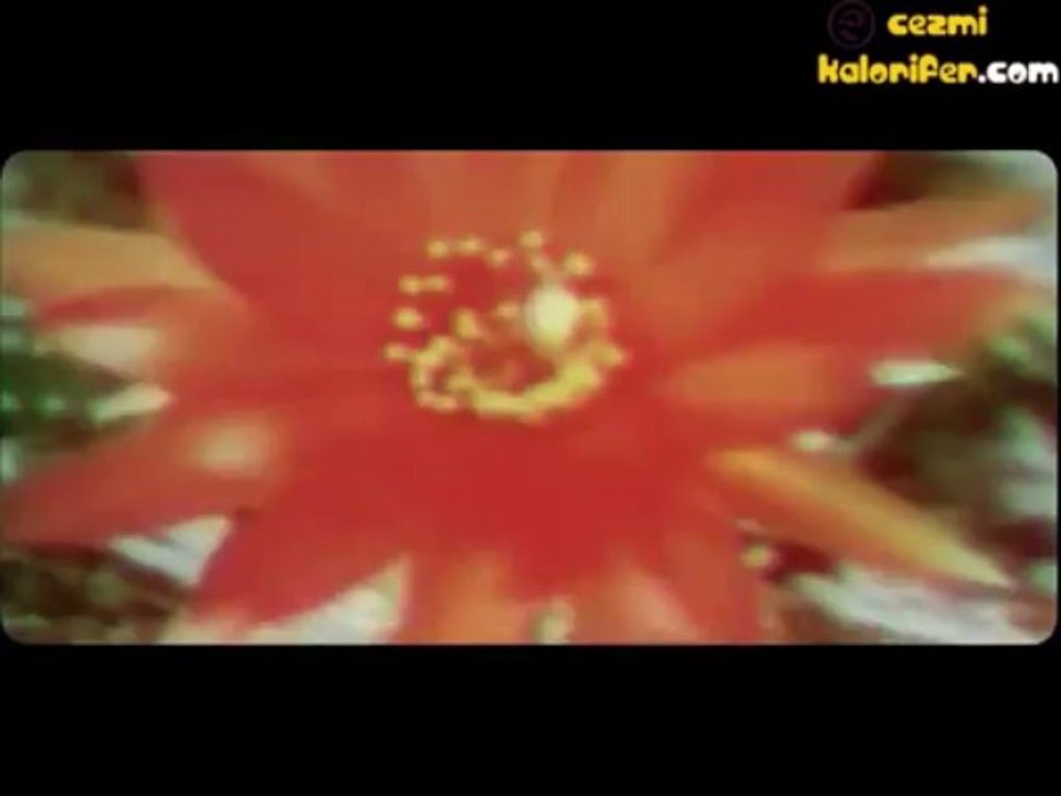 Noisia - Split The Atom