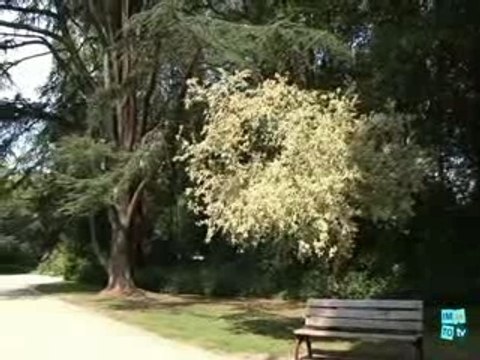 La Tour japonaise et le Pavillon chinois